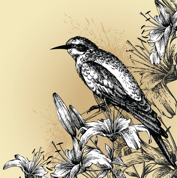 Background with blooming lilies and a sitting bird. Hand drawing. Vector il - Wektor, obraz
