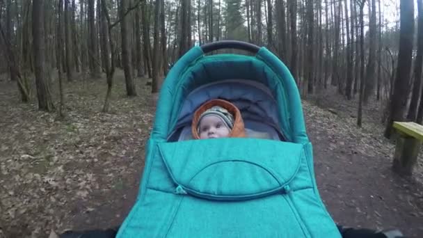 meisje van de baby kijk rond in het bos rijden in de buggy. 4k - Video