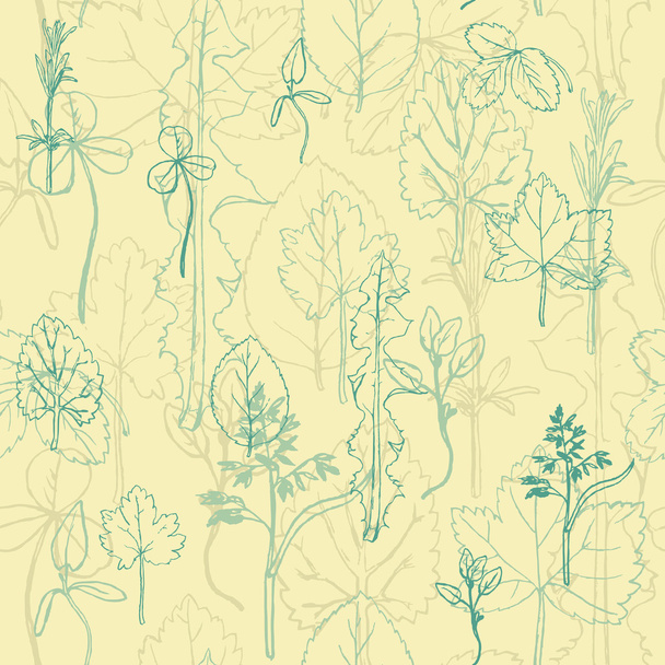 Seamless pattern with herbs and leaves - Вектор,изображение