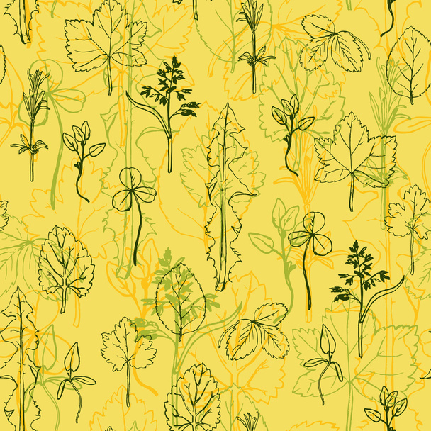 Seamless pattern with herbs and leaves - Vektori, kuva