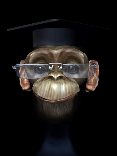 profesor szympansa - Zdjęcie, obraz