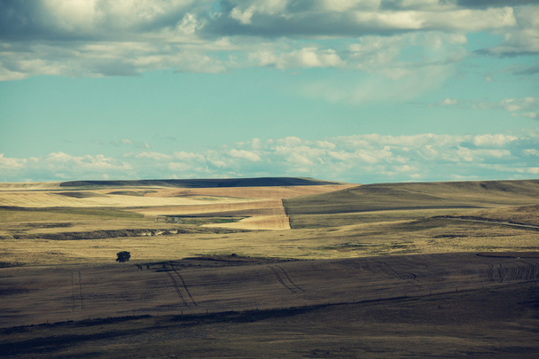 Panorama der landwirtschaftlichen Felder - Foto, Bild