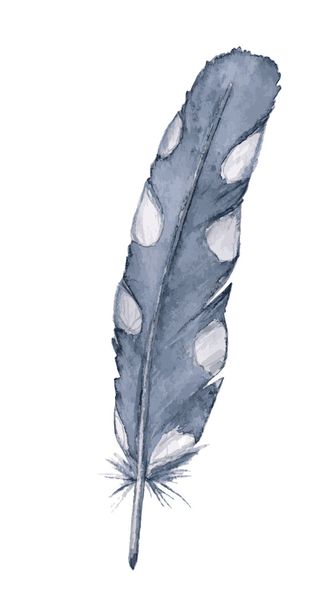 Watercolor feather on white background - Vector, Image
