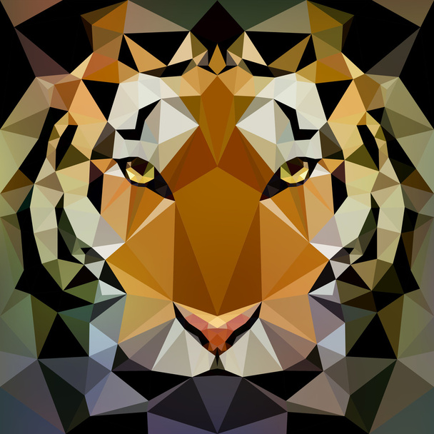 Vector illustration - face of a tiger - Vector, Image