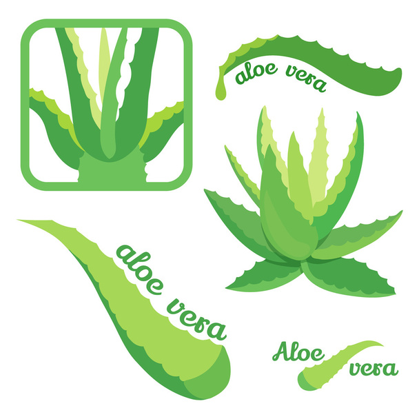 Aloe vera icon set - Vector, Image