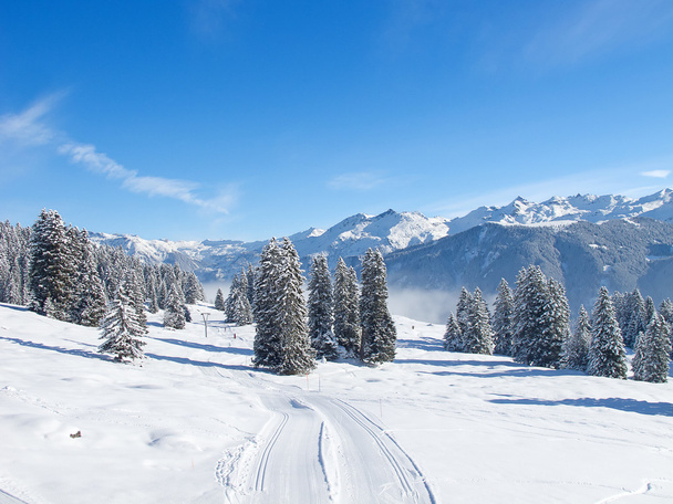Skiing slope - Foto, imagen