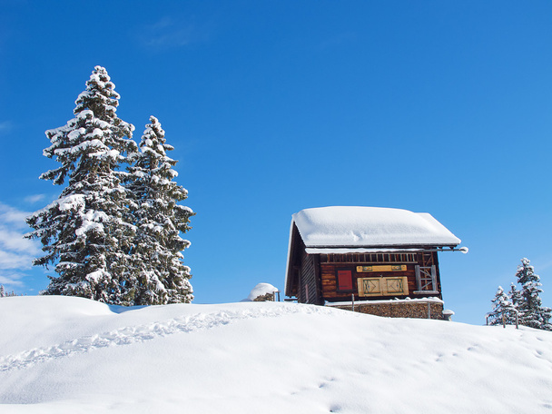 Winter in alps - Zdjęcie, obraz