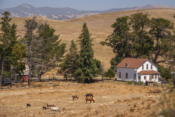 Kaliforniai vidéki táj - Fotó, kép