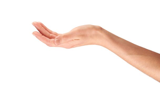 Γυναικείο χέρι που κρατά κάτι - Φωτογραφία, εικόνα