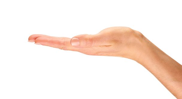 female hand holding something - Photo, Image
