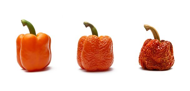 Paprika orange im Alternance
 - Photo, image