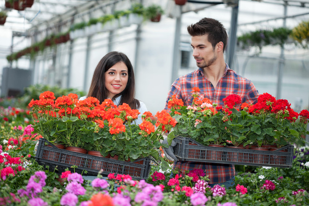 Fiatal, mosolygós virágkereskedések férfi és a nő dolgozik az üvegházhatást okozó - Fotó, kép