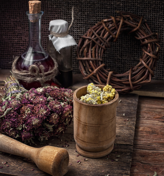 medicinal herb - Photo, Image