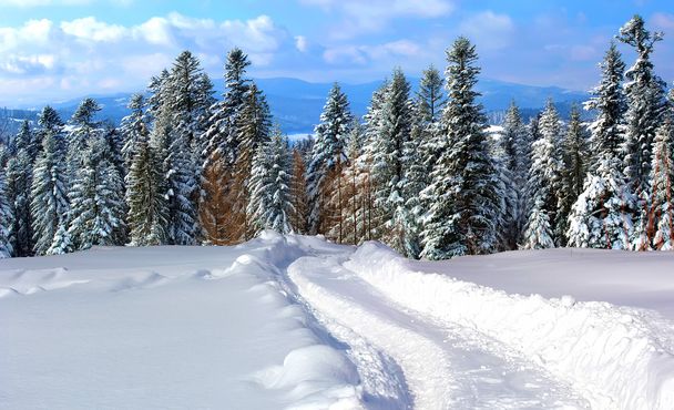 winterweg - Foto, afbeelding