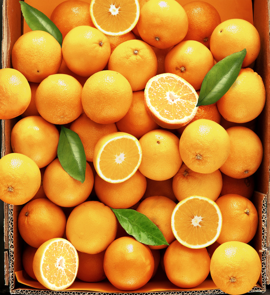 Sladké čerstvé a šťavnaté pomeranče - Fotografie, Obrázek