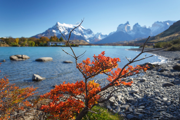 Milli Parkı Torres del Paine, Patagonia, Şili - Fotoğraf, Görsel
