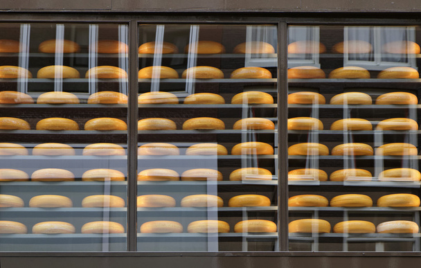 Holland, Amsterdam, dutch cheese for sale in a local store - Фото, зображення