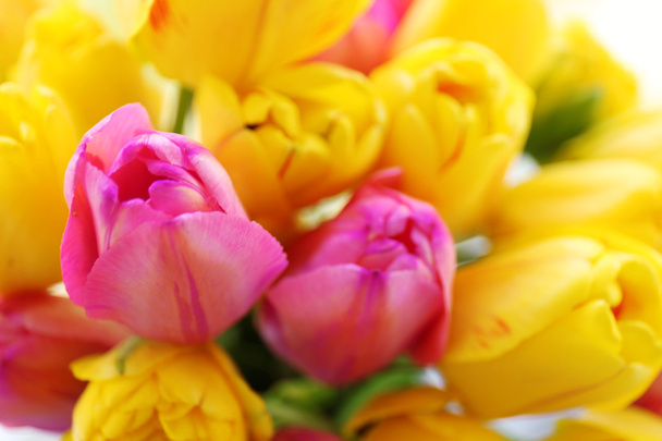 Beautiful bouquet of tulips - Fotoğraf, Görsel
