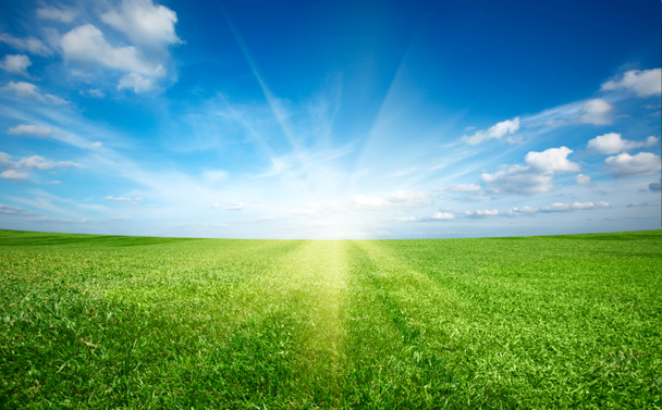 zachód słońca i pole zielone świeżej trawy pod błękitne niebo - Zdjęcie, obraz