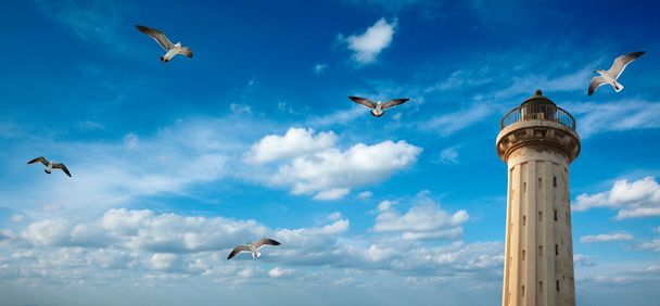 Stara latarnia morska w niebo z seagulls - Zdjęcie, obraz