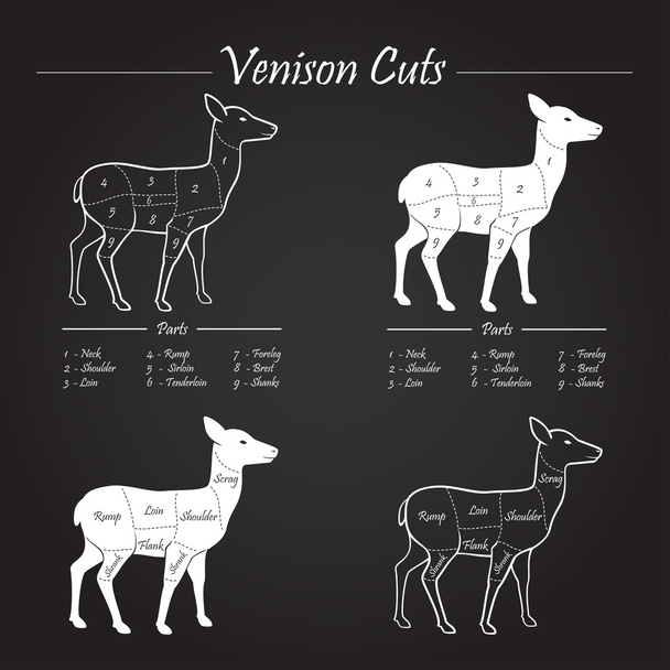 Venison meat cut diagram scheme - blackboard - Vector, Image