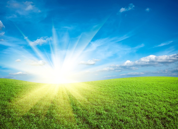 Pôr do sol no campo de grama fresca verde sob o céu azul
 - Foto, Imagem