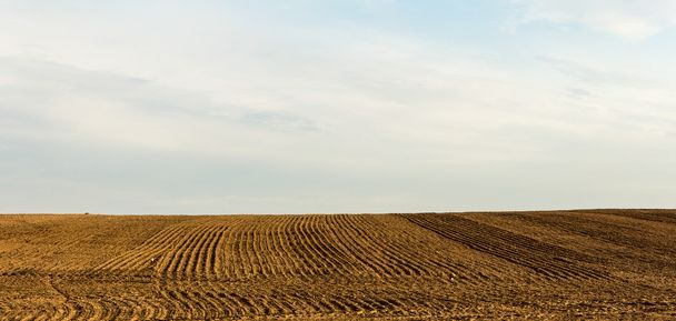 Plowed Field landscape - Φωτογραφία, εικόνα