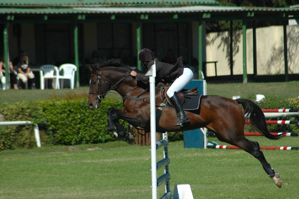 Hevosen hyppääminen urheilu
 - Valokuva, kuva