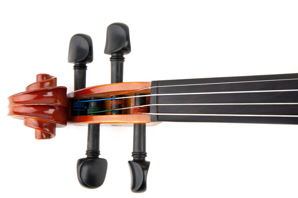 Violin Music - 写真・画像