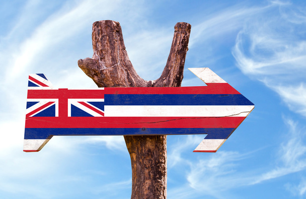 Hawaii Flag wooden sign - Photo, Image
