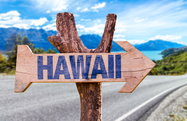 Hawaii wooden sign - Photo, Image