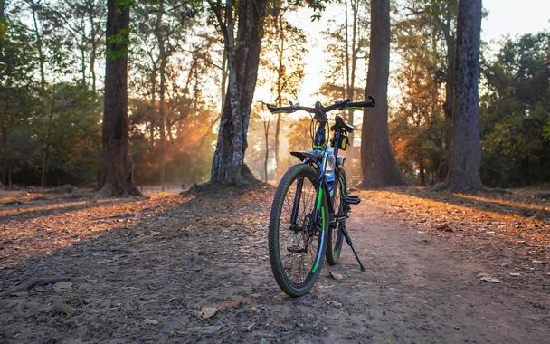 dağ bisikleti. Orman ayakta fotoğraf bisikletle footboar - Fotoğraf, Görsel