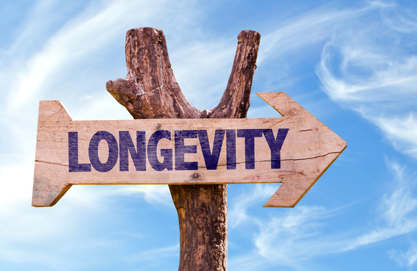 Longevity wooden sign - Photo, Image