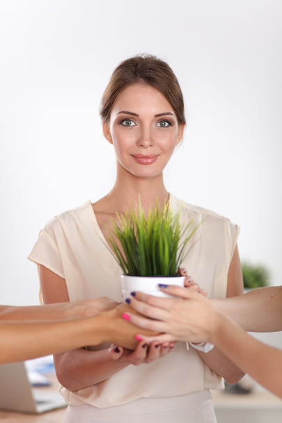 Beautiful woman holding pot with a plant, standing - Photo, image