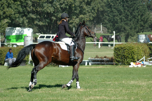 Cavalo equitação mulher
 - Foto, Imagem