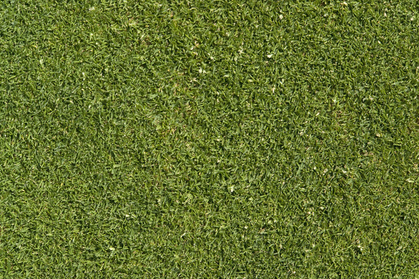 Abstrakti golf vihreä tausta
 - Valokuva, kuva