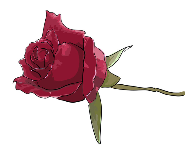 Роза - ручная картина
 - Вектор,изображение