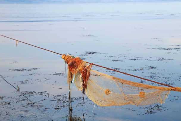 Rede de pesca vazia para mexilhão no mar ao pôr do sol
 - Foto, Imagem