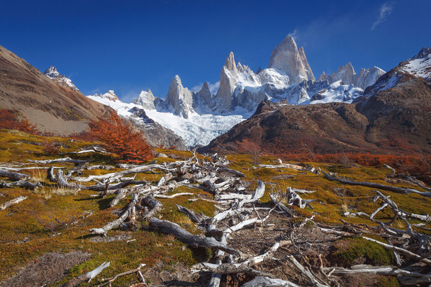 Hora fitz roy, národního parku los glaciares, Patagonie - Fotografie, Obrázek