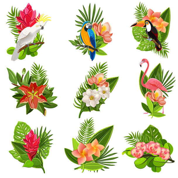 Tropische vogels en bloemen pictogrammen set - Vector, afbeelding