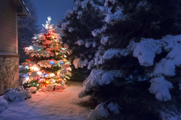 ein schwerer Schnee fällt leise auf diesen Weihnachtsbaum, akzentuiert durch ein sanftes Glühen und selektive Unschärfe, was die Magie dieser Heiligabendszene veranschaulicht. - Foto, Bild