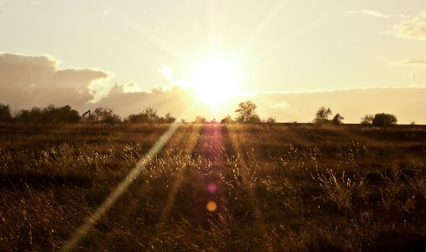 pole slunečního svitu - Fotografie, Obrázek