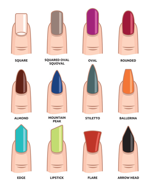 Diferentes formas de unhas - Fingernails moda Tendências
 - Vetor, Imagem