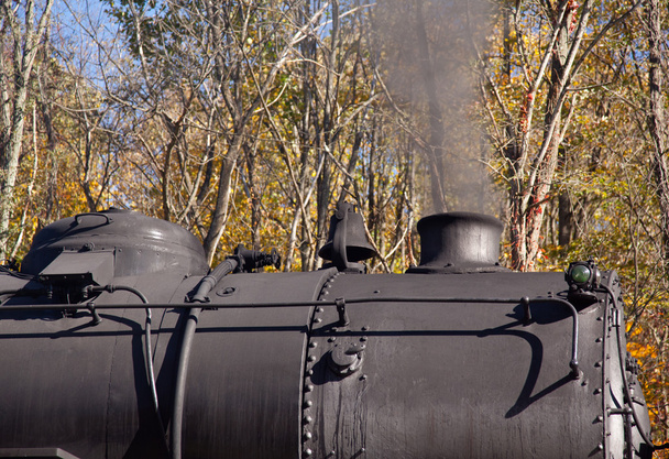 Steam train powers along railway - Photo, Image