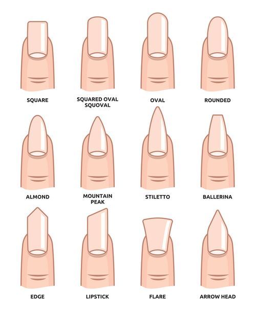 Verschillende nagel shapes - nagels modetrends - Vector, afbeelding