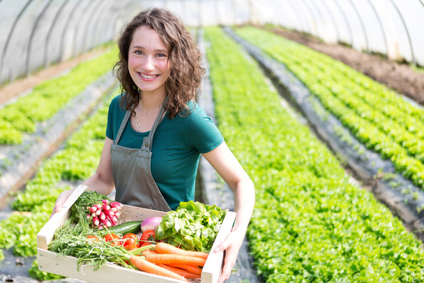Fiatal, vonzó nő betakarítás zöldség az üvegházhatást okozó - Fotó, kép
