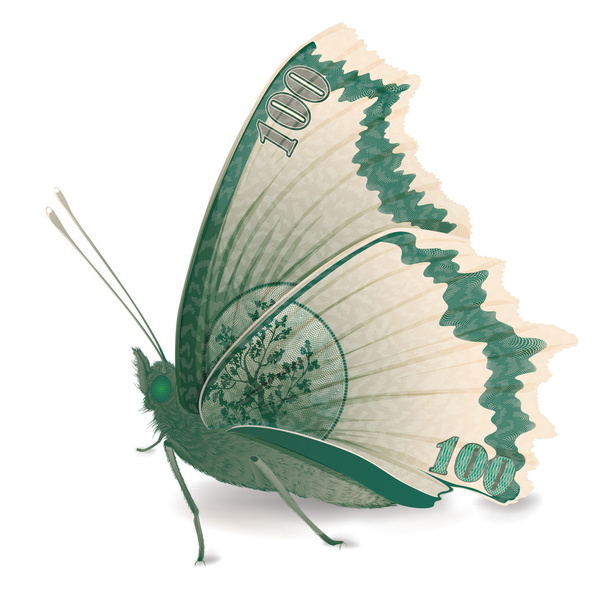 Schmetterling - Vektor, Bild