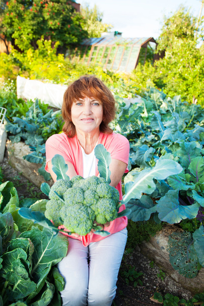Woman grows harvest in the garden - Photo, image