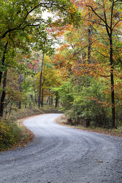 Zářivé barevné klikaté silnice - Fotografie, Obrázek