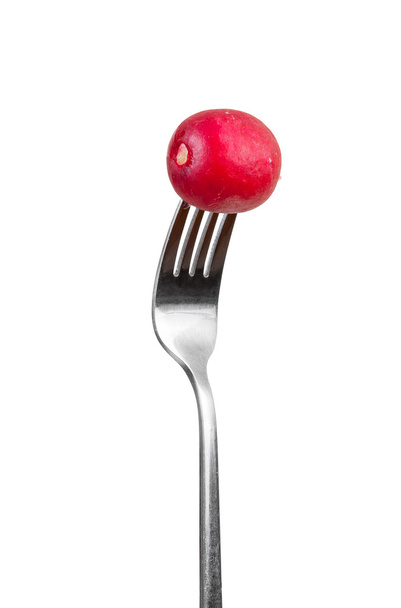 Radish on a fork - Photo, Image